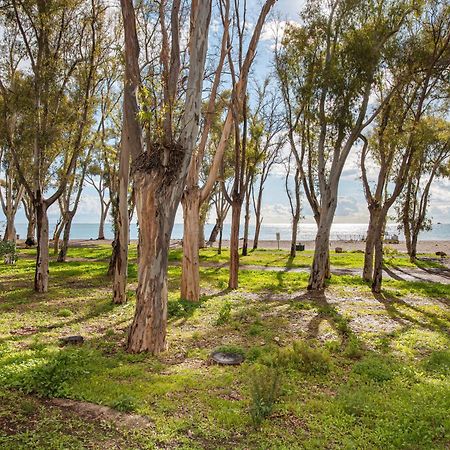 Confortable Estudio En Playa Los Banos Del Carmen Málaga Kültér fotó